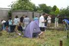 the garden party
